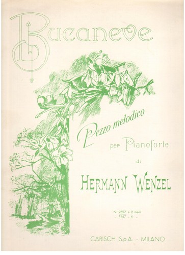 Hermann wenzel bucaneve pezzo - bucaneve,
