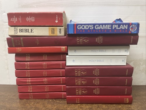 Lot holy bibles kjv niv - 18,