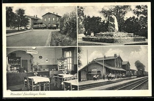 Munster lüneburger - ak, /