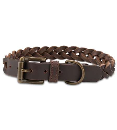 Jack russell collare per cani - jack,
