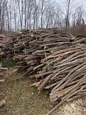 legna da ardere al quintale