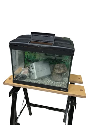 Acquario ferplast con - acquario,