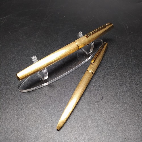 Coppia penne waterman - penne, set