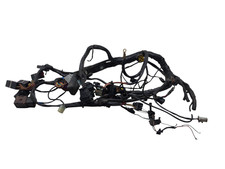 TRIUMPH SPEED TRIPLE 955i