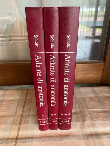 Atlante anatomia umana - di,
