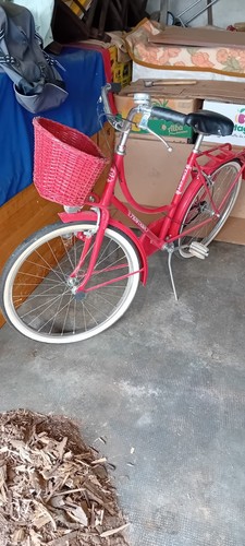 Bicicletta donna vintage - bicicletta,