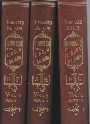 Dizionario della lingua