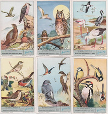 FIGURINE LIEBIG SERIE COMPLETA (B. BOND) GLI UCCELLI PROTETTI N°1868 ANNO 1975