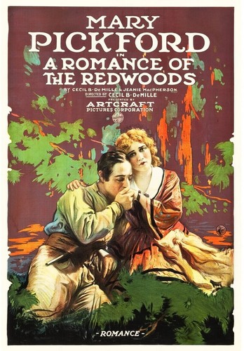 Mary pickford romanzo delle - il,