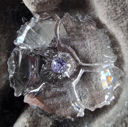 Swarovski 2019 scs membership - swarovski,