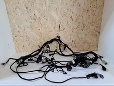 Impianto Elettrico Cablaggio  Ducati Streetfighter 1098s