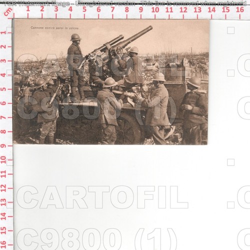 C9800 militare militari 1917 - militare,