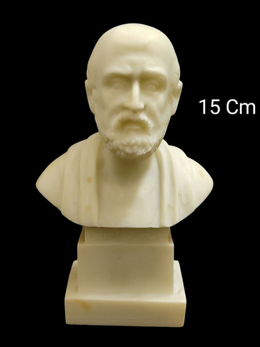 Scultura busto ippocrate - scultura,
