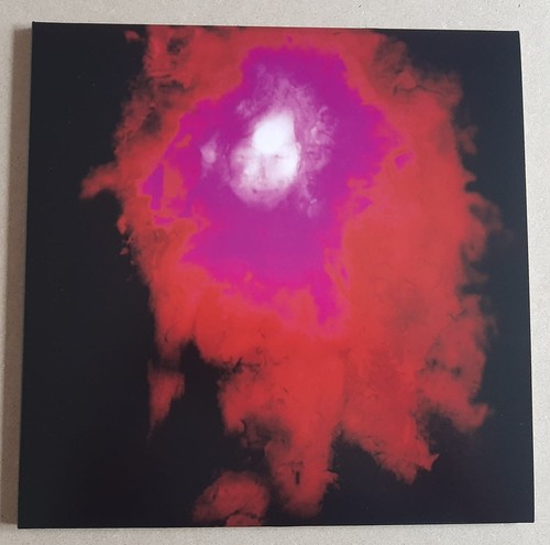 Porcupine tree up the - tree, ‎–