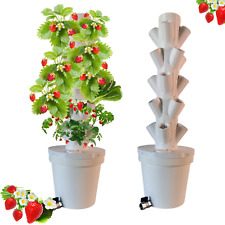 TORREEOLIANA Sistema di Coltivazione Idroponica Verticale per ORTAGGI e FIORI