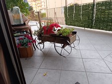 Fioriera a Carriola Con