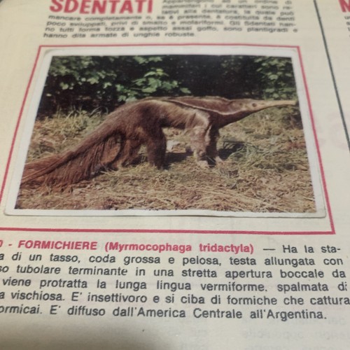 Figurina 170 animali ed - 170,