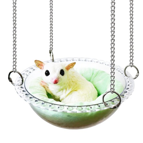 Amaca sugar glider - amaca,