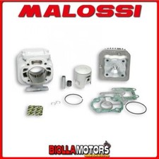 317559 gruppo termico malossi - termico,
