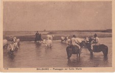 Viterbo - Maremma - Butteri - Passaggio sul Fiume Marta - fp 1913