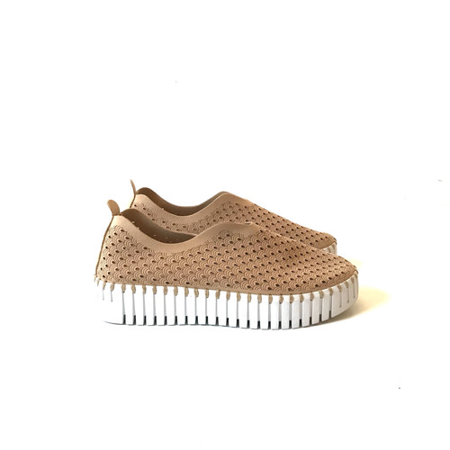 Isle jacobsen tulip sneakers - tulip,