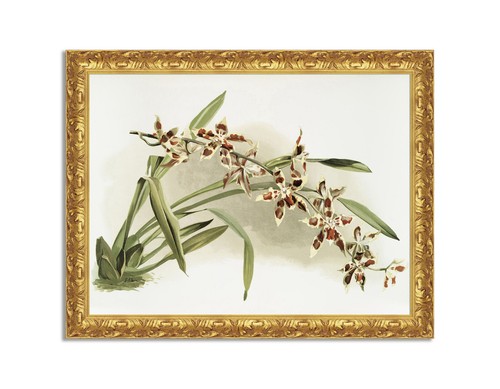 Quadro stampa tela - quadro, su