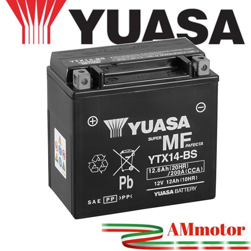 Yuasa ytx14 batteria - yuasa, bmw
