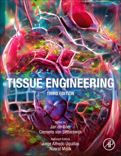Tissue engineering - tissue,
