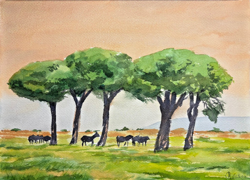 Bovini toscani sotto - , pini