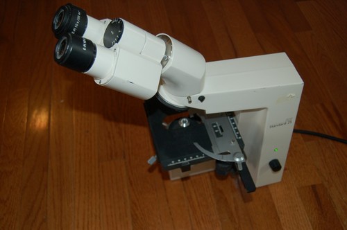 Zeiss microscopio standard - standard, 25