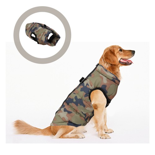 Costumi per cani mantieni cool - costumi,