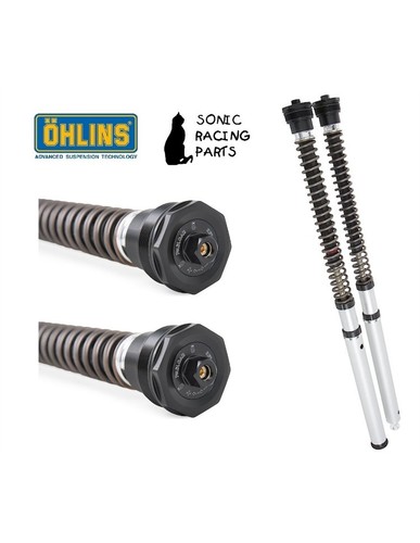 Fks 503 cartuccia ohlins - cartuccia,