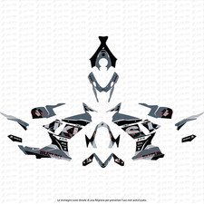 Kit grafiche SUZUKI GSX-R 600