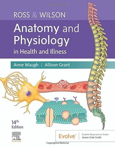 Ross wilson anatomy - (14th),