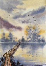 CIELO NUVOLOSO UCCELLINI PONTE