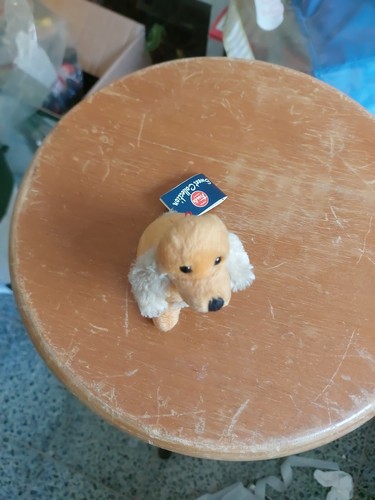 Peluche cane cocker trudi cm - cane,