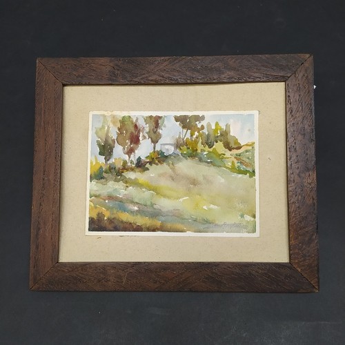 Acquerello pietro pagliani - acquerello,