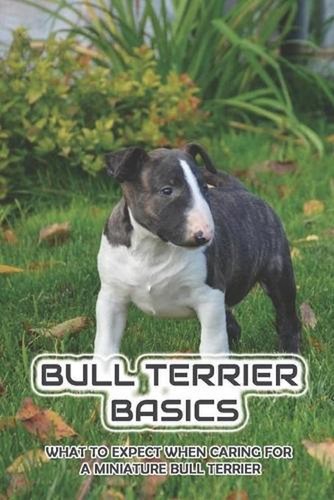 Bull terrier basics what to - terrier,