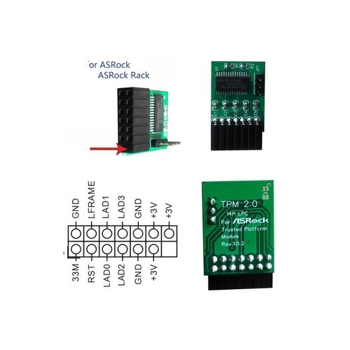 1pz nuovo asrock - nuovo, tpm