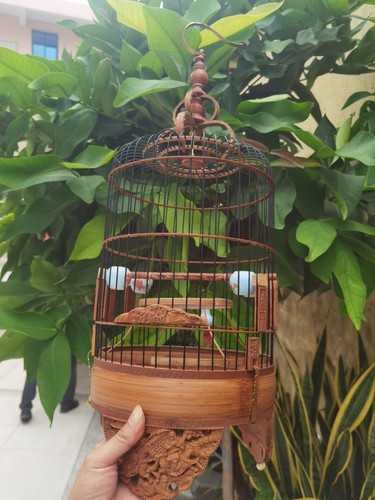 22cm chinese round bamboo - 22cm, chinese round