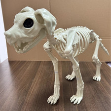 Decorazione Halloween oggetti