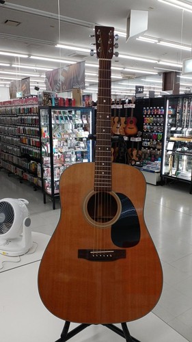 Chitarra acustica martin 18 - acustica, d-18