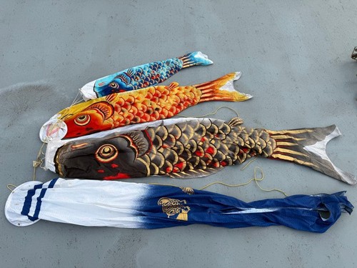 Carp streamer set con - carp, di