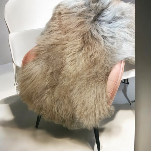 Vera pelle pecora - pecora, capelli