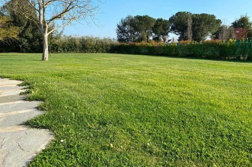 Prato calpestabile 10 000 - prato, –