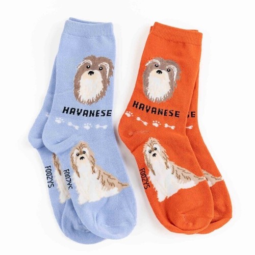 Havanese cuba rescue breeders - rescue,