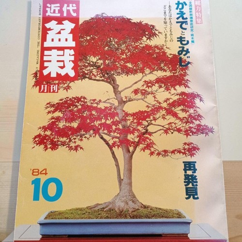 Modern bonsai monthly - issue, 10