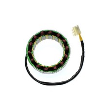 ELECTROSPORT STATORE PER