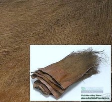 100% corteccia di palma vera 6