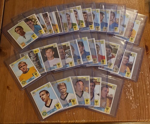 Panini mexico choose - 70,
